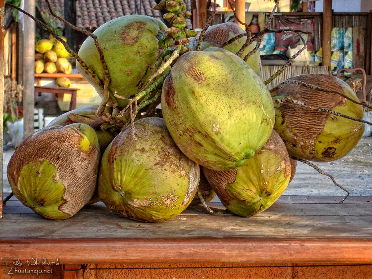 ZihuatanejoIxtapa Message Board Put Z Lime in Z Coconut