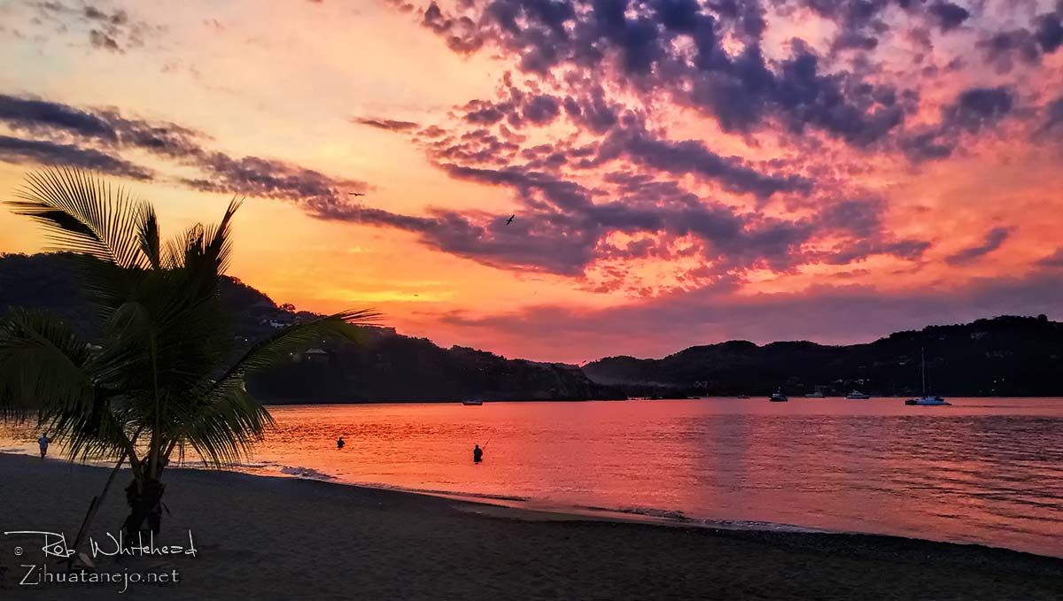 [image]