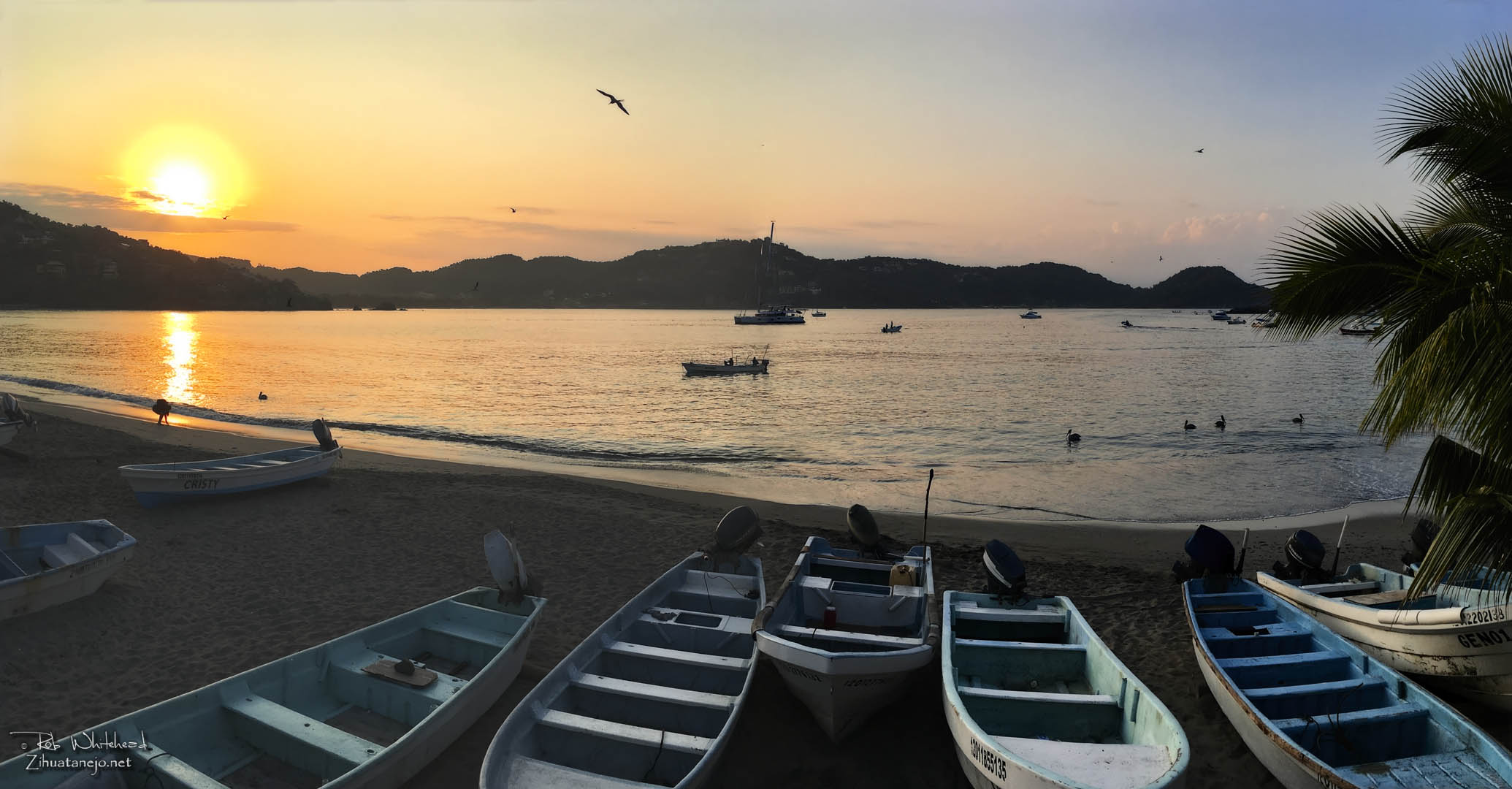 ZihuatanejoIxtapa Message Board La Vida SensaZIHonal