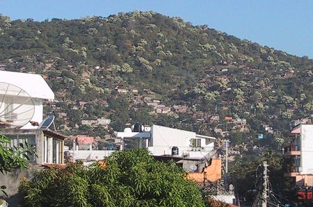 Zihuatanejo hillside covered with blooming bocote trees in October