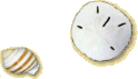 shells