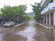 &aacute;rboles derribados con equipos de limpieza y el agua saliendo del drenaje