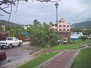 &aacute;rboles derribados