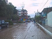 &aacute;rboles derribados